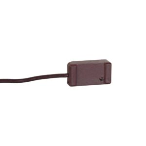 GBS 1 braun